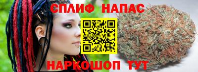 трава Будённовск